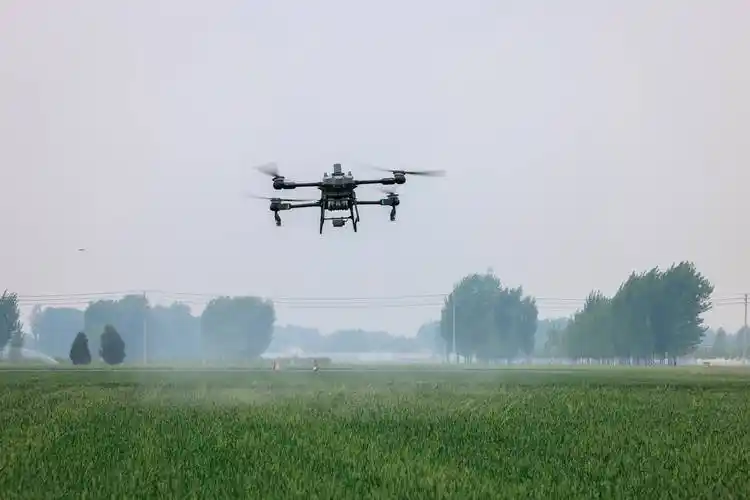 百余架无人机为40余万亩麦田做植保,河南传统农区用上"数字新农具"