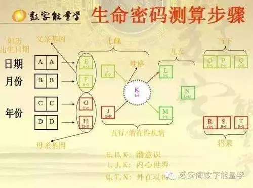 生命密码三角形图解析 (第1页)