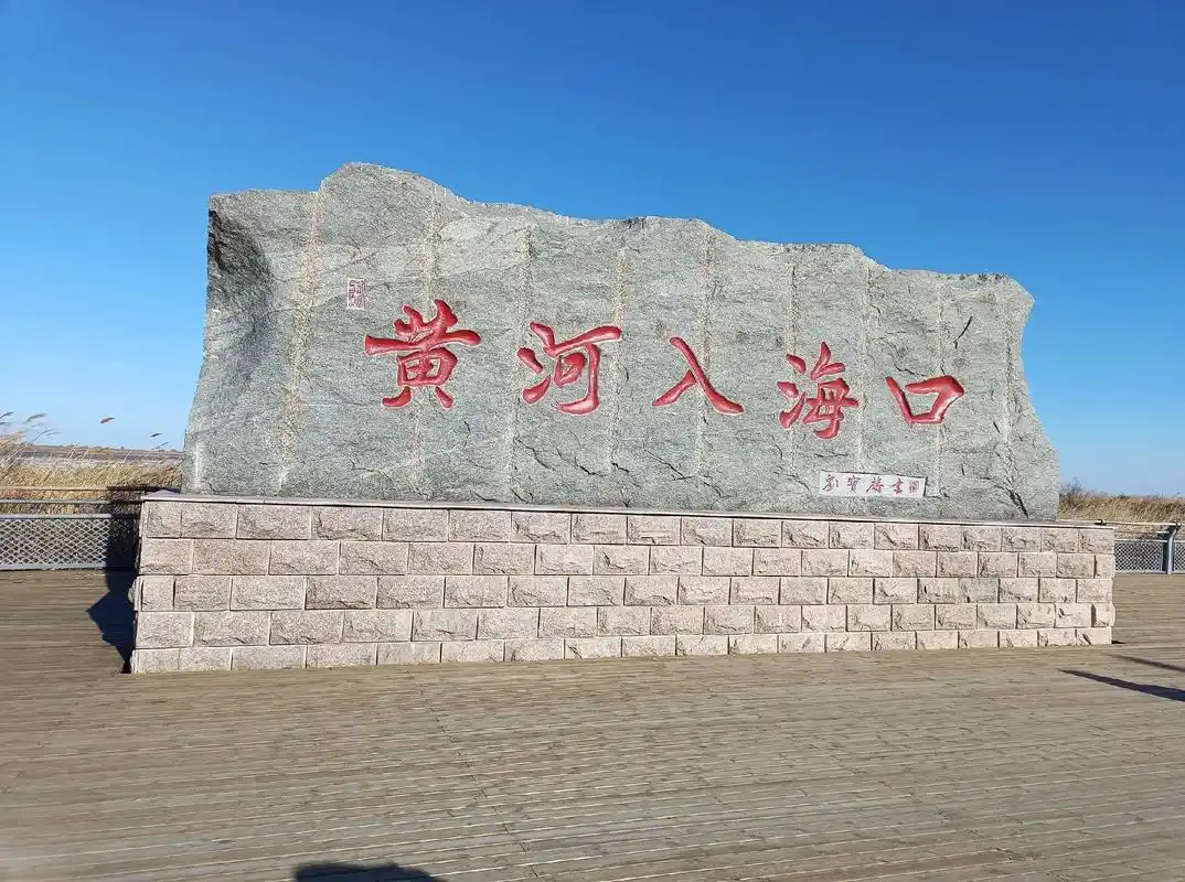 2023127山东东营黄河入海口湿地