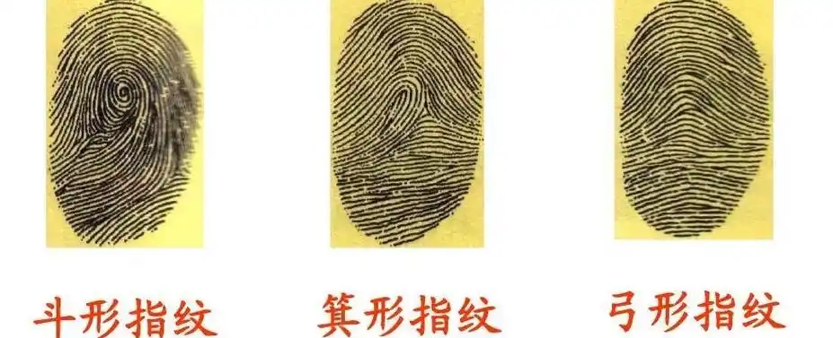 中科院终于发现"斗"和"簸箕"的奥秘!