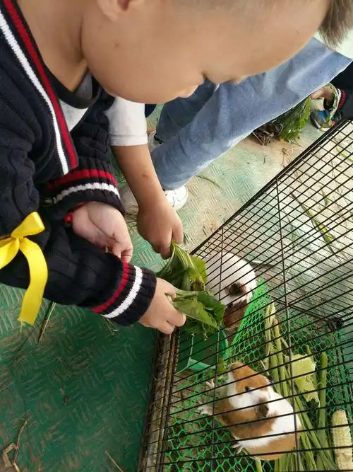 喂完了小动物,我们也要开饭咯