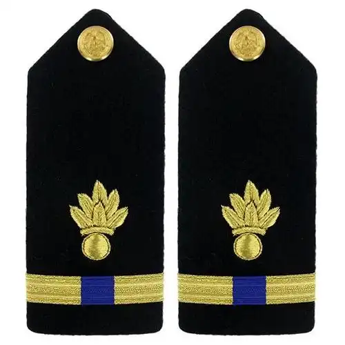 这是美国海军四级军械技术专业准尉肩章.