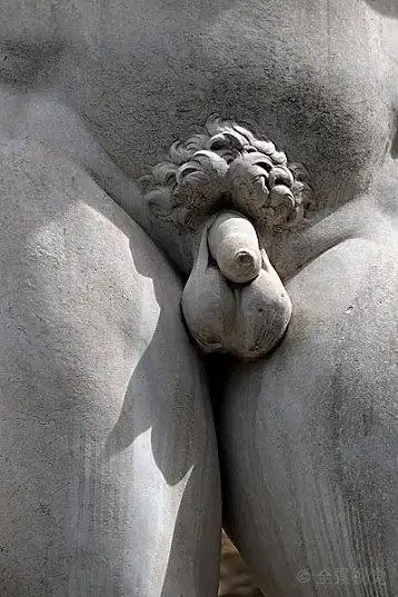 阴茎_特写_文艺复兴_大卫像_米开朗基罗_市政广场_佛罗伦萨_托斯卡纳