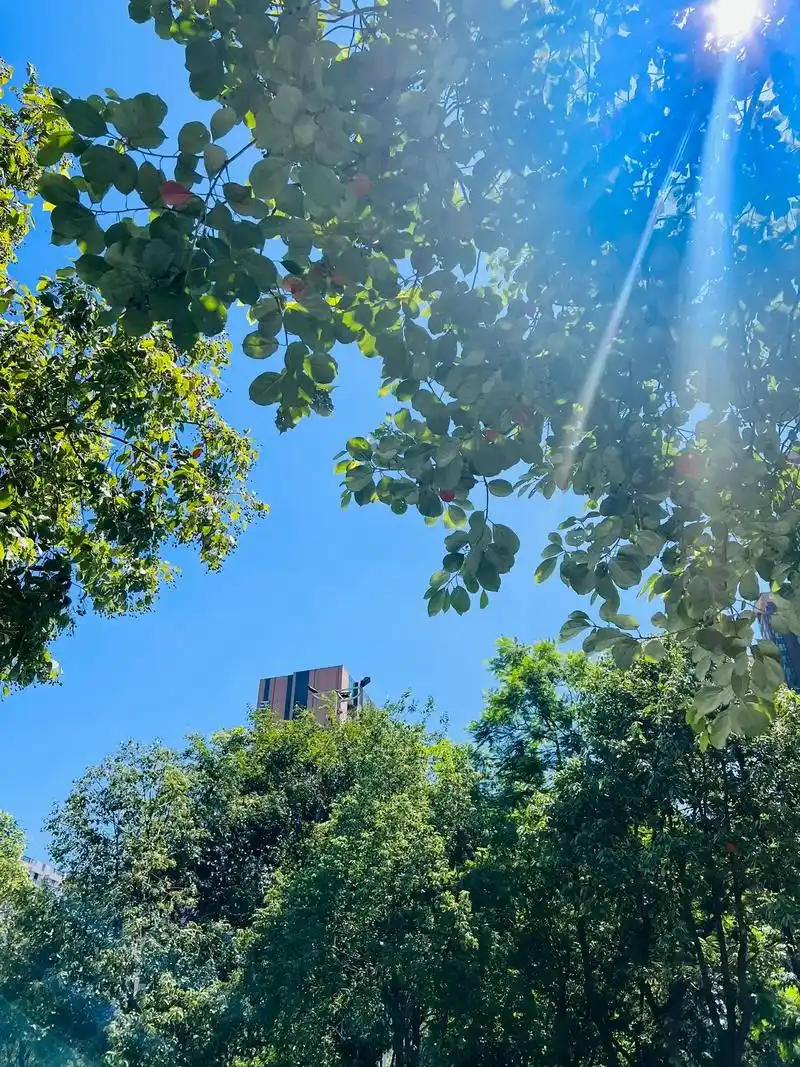 雨后的晴天确实让人眼前一亮 瞬间感觉整个人都明媚起 - 抖音