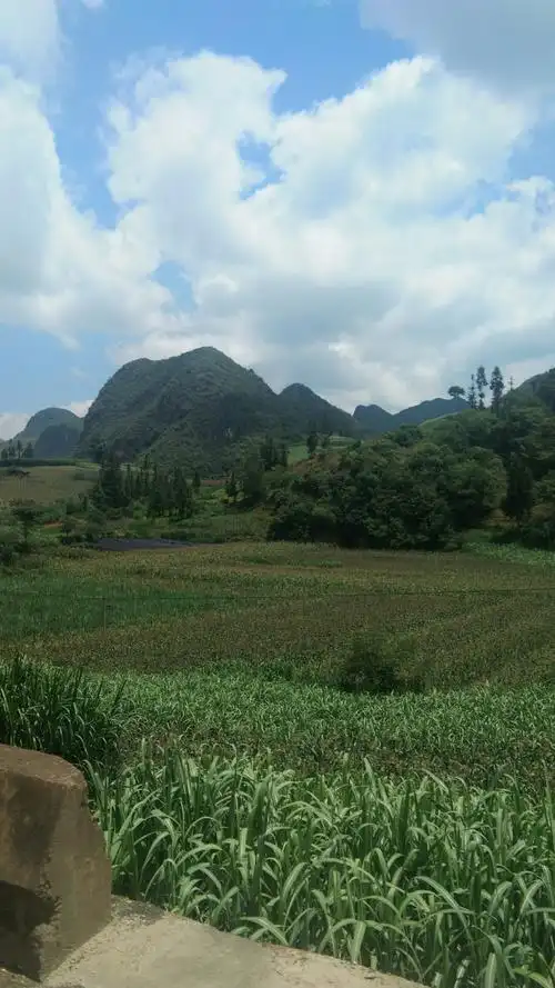 【2019届4班夏维彬】云子走四方――纯朴的家乡