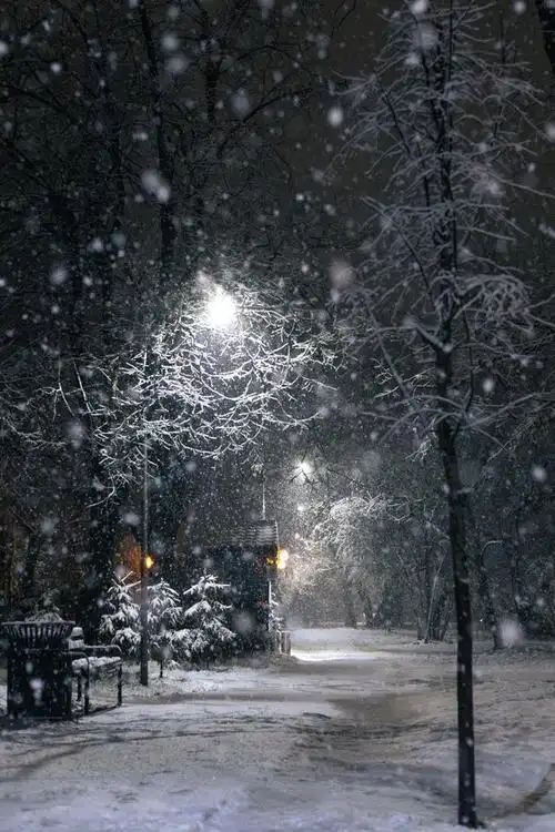 雪夜思念 细雪纷飞