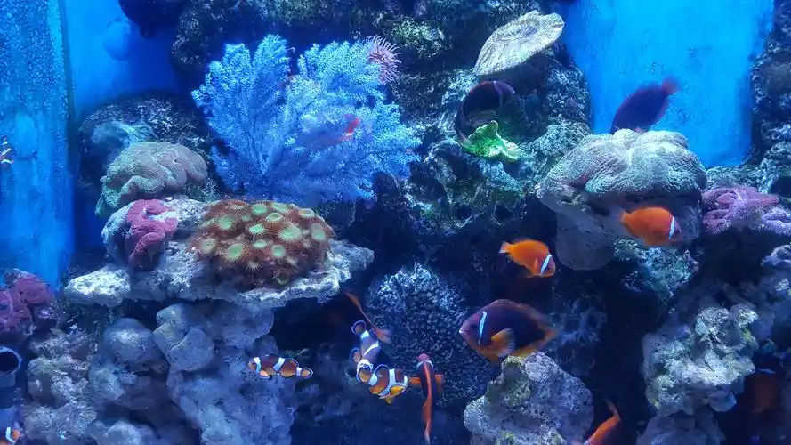 大连老虎滩海洋公园游览记