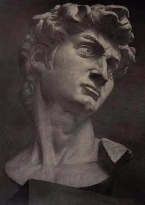 中国艺术教育中的大人物们素描大卫石膏像集合