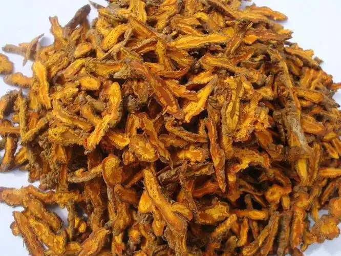 舒园本草传说6黄连