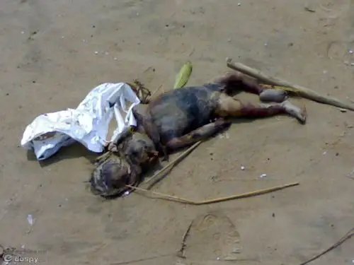 【恐怖】水鬼的照片 传说能把人拉下水的水猴zt