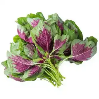 新鲜苋菜露天红苋菜米苋农家野菜鲜嫩时令蔬菜现摘现发5斤装红米苋