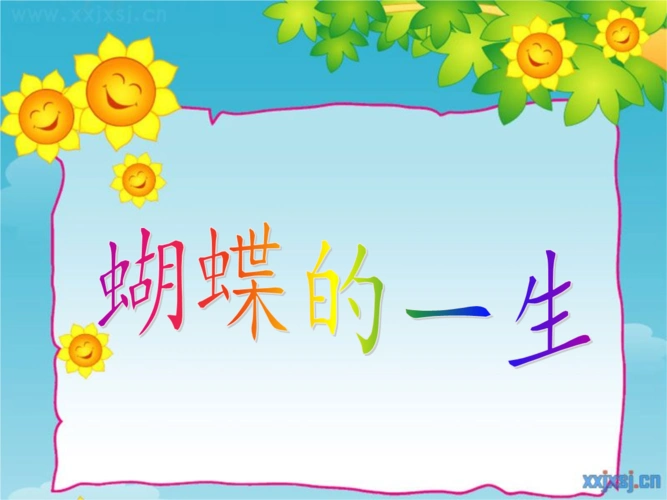 义务教育幼儿园幼儿园科学:蝴蝶的一生.ppt