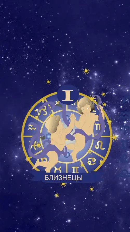 双子座唯美星空插画