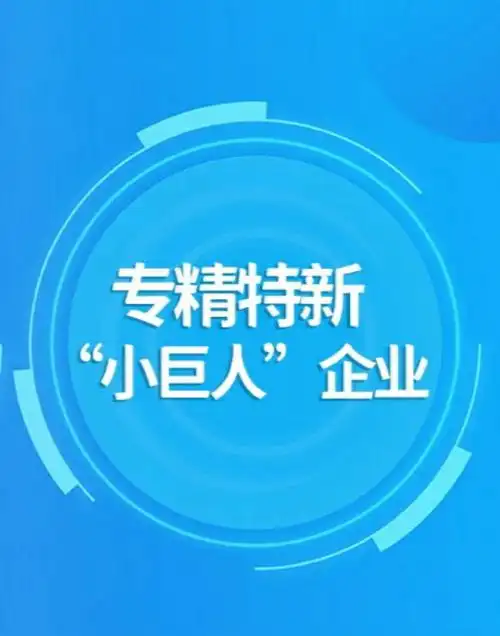 专精特新小巨人8问8答