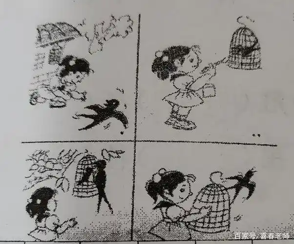 二年级看图写话:放小鸟