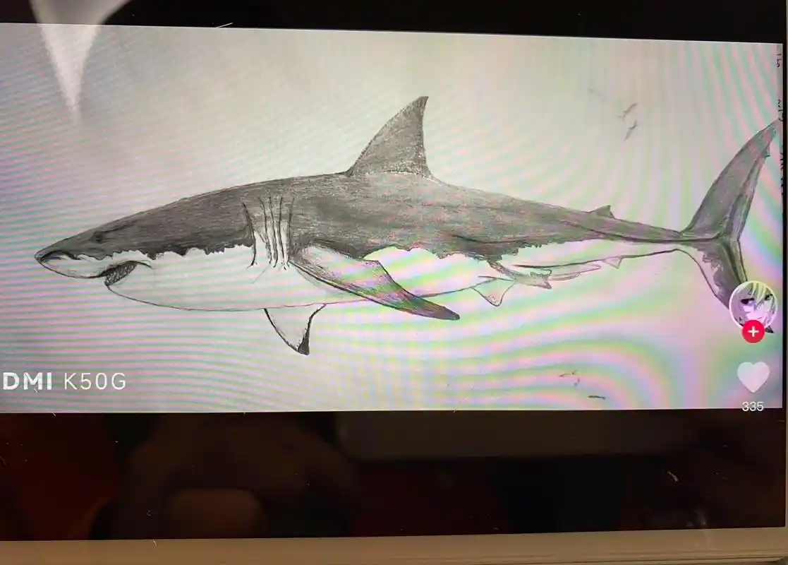 开学前的最后一画 大白鲨00#想画就画 #日常瞎 - 抖音