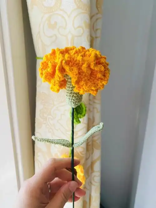 花束钩织  #钩针康乃馨  #康乃馨花束  #小红书  #毛线编织