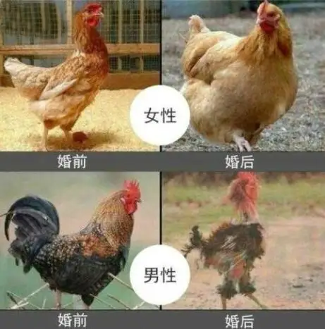 上榜:这就是事实!男人与女人的婚前婚后