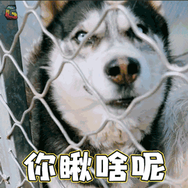 立马大声吼叫起来,她妈妈也冲了出来!