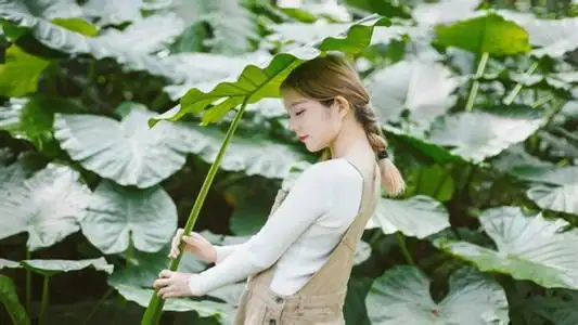 首席娇妻翻滚吧前夫小说app最新章节列表(席慕深慕清冷结局)