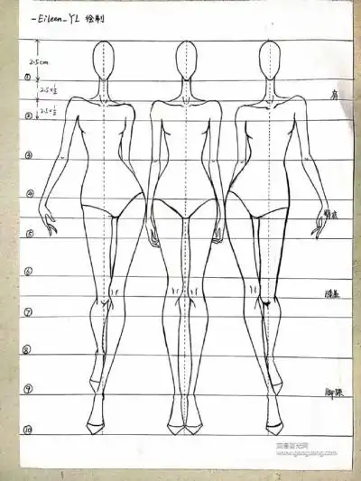 服装人体比例 九头身图源#网络 作者:-eileen_yl