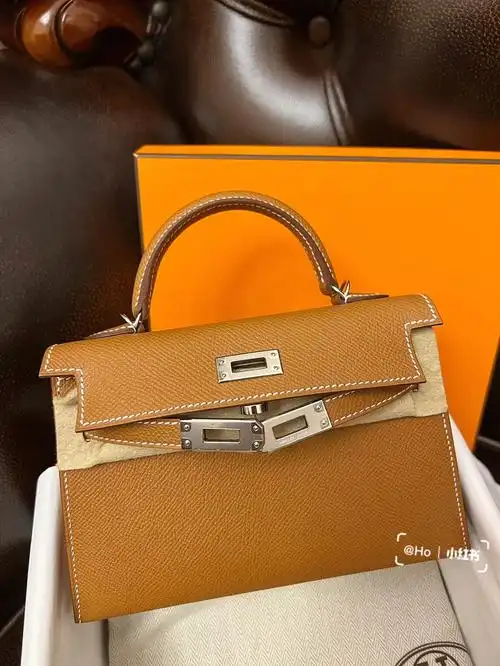 包包中的最佳理财产品爱马仕minikelly