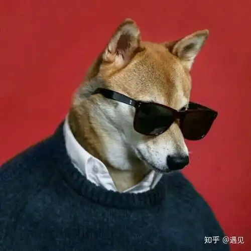 有哪些图片适合当企业微信头像