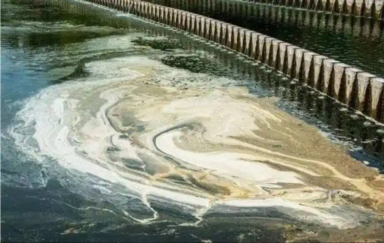 危害人体健康或者破坏生态环境,造成水质恶化的现象称为水污染