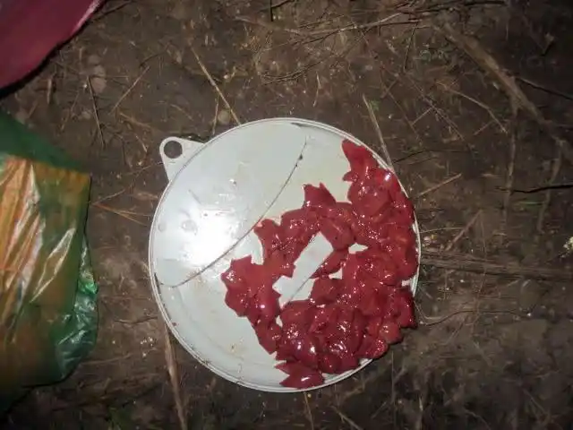 夜晚我用猪肝钓了十多条土鲶鱼,本地野生的至少卖30元一斤