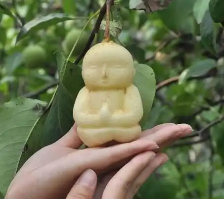 黄金百香果的功效与作用黄金百香果的营养价值