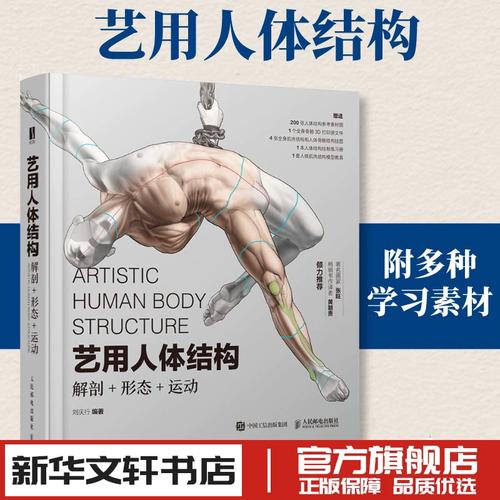 艺用人体结构 解剖形态运动 刘庆行著 人体肌肉骨骼 三体建模平面绘画