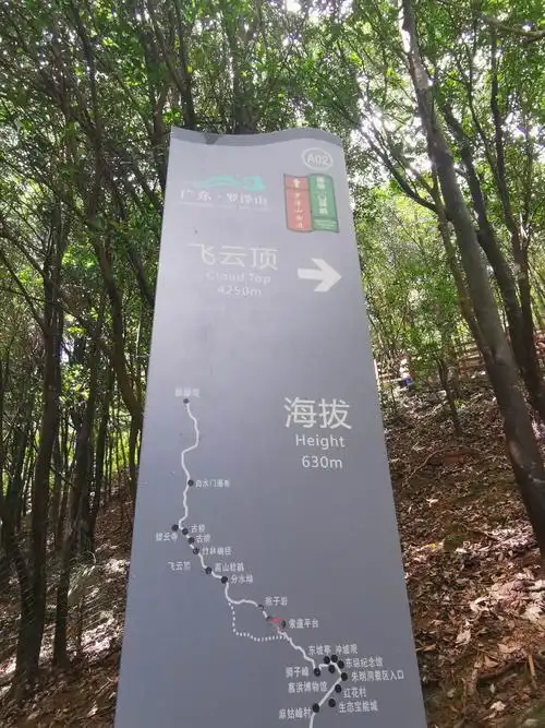 罗浮山最高峰飞云顶海拔4000多米太有难度了,只好坐着缆车上去了