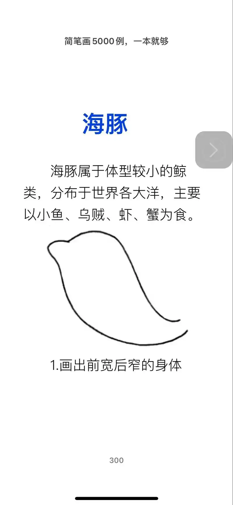 海豚98#一学就会的简笔画 #一起学画画 #亲子简笔画 #画 - 抖音