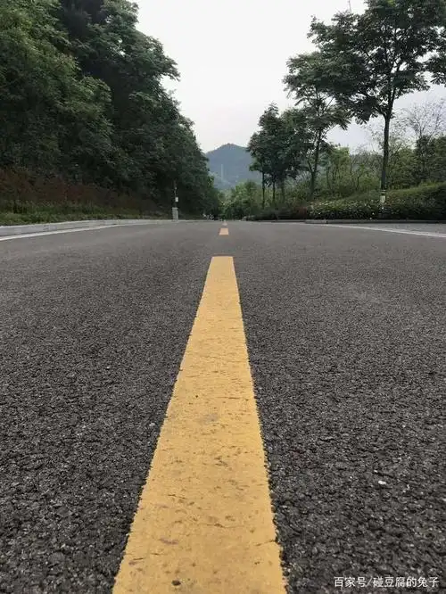 兔子带你看世界之公园的路:每一种路对应一种人生,需要回头看看