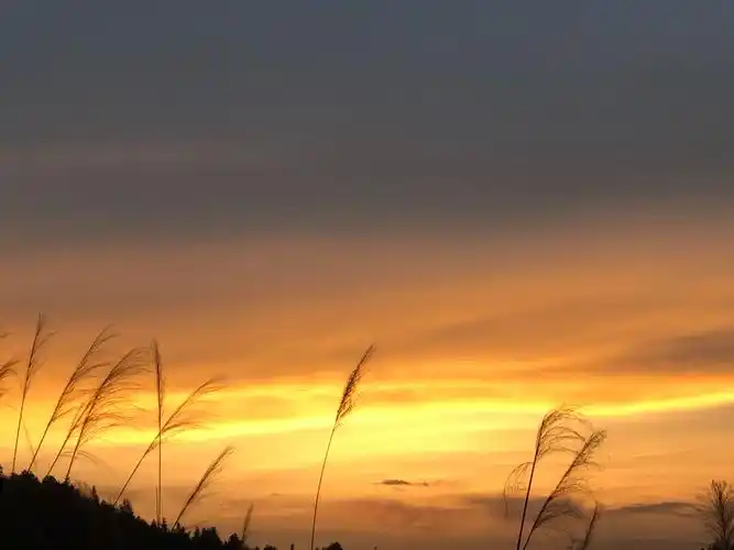 古诗分类哲理诗句田园生活风光及情趣诗句读书诗句_朝霞