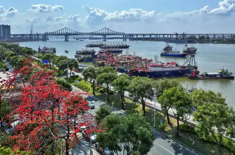 沙田两村获评2023年广东省乡村治理示范村凤凰网东莞_凤凰网