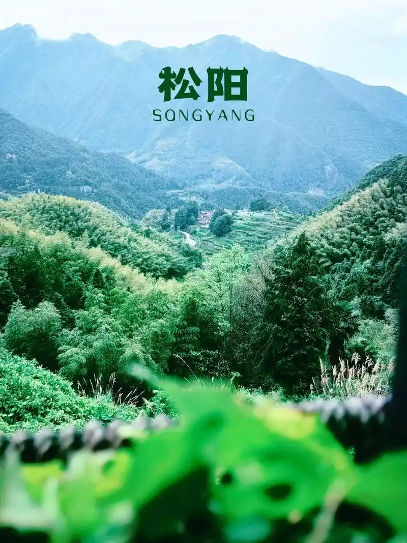 松阳县陈家铺村,是我们到的第一个古村落.村子不大 - 抖音