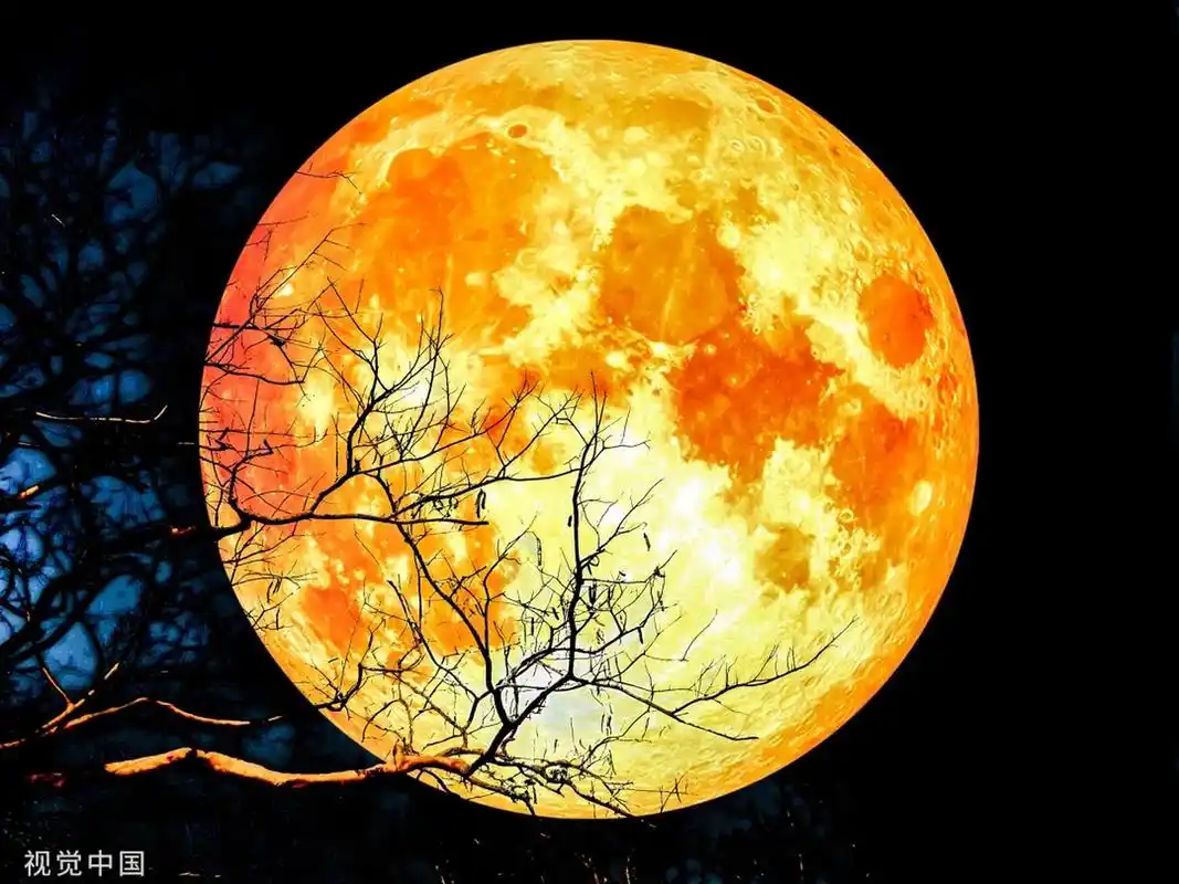 变化多端的月亮 这些独一无二的月亮图片,漂亮吗?你最喜欢哪一张?