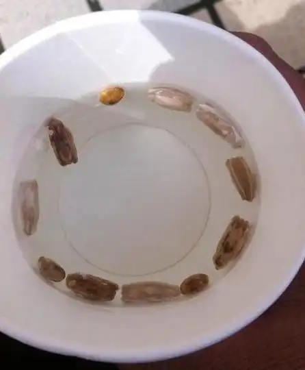 葫芦籽多久能发芽,好几年的葫芦籽能出芽吗(最适合种上一粒葫芦种子)