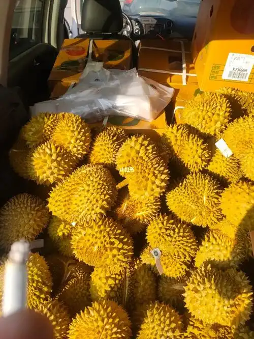 巴掌榴莲150元3个