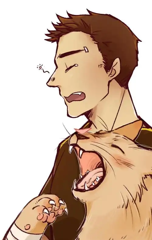 荣耀岛上都是串儿全职高手孙哲平