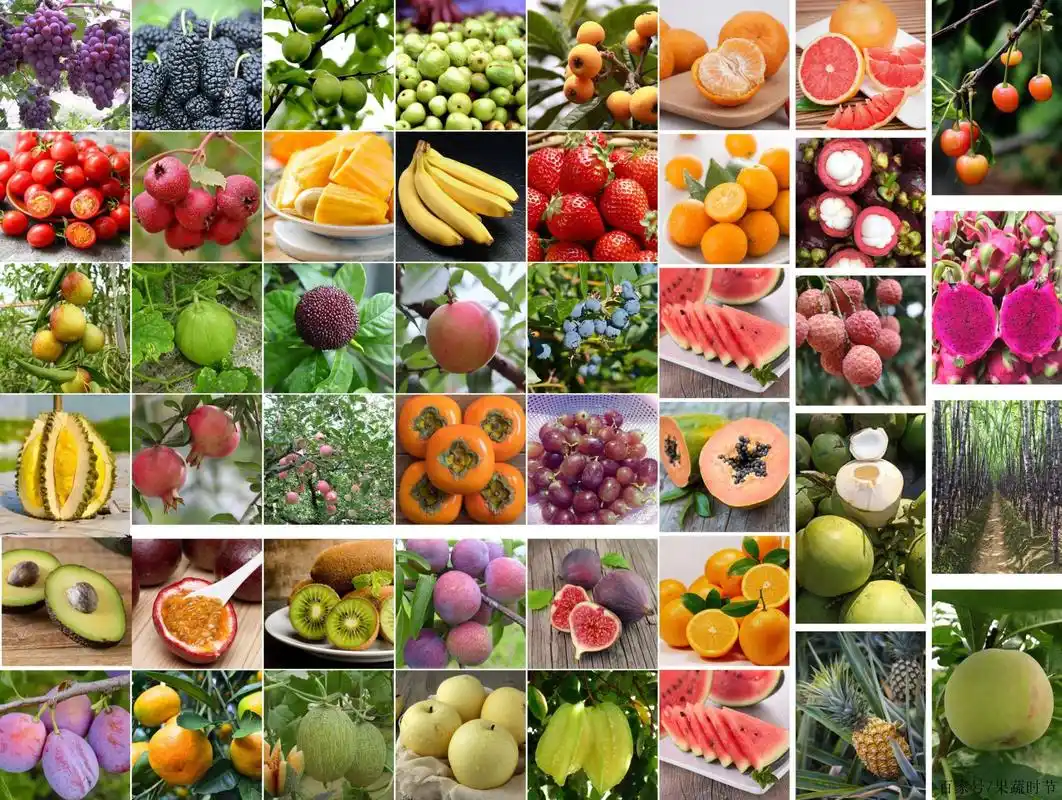 果蔬时节当季水果时间表