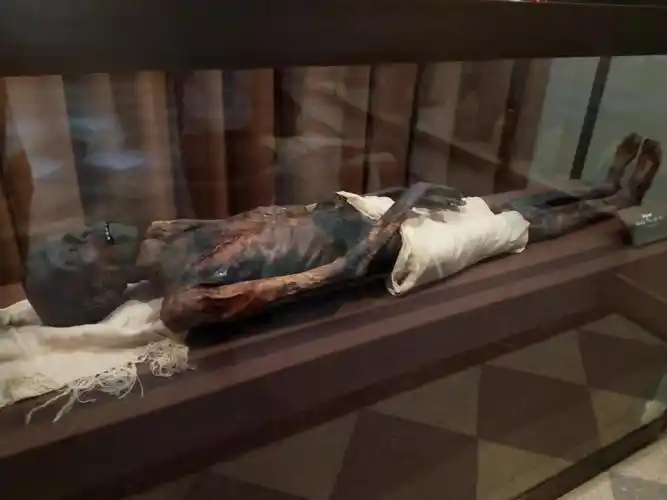 随便放一个,木乃伊干尸,位于非洲展品部分.