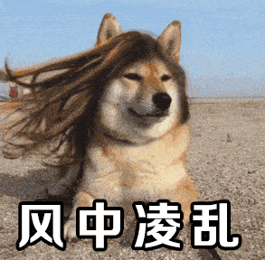 293_288gif 动态图 动图