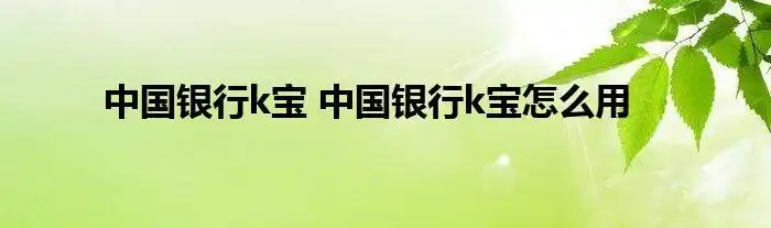 中国银行k宝中国银行k宝怎么用