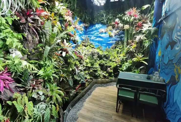 生态,海洋景观_室内热带雨林景观_热带雨林鱼缸造景_亚克力鱼缸制作