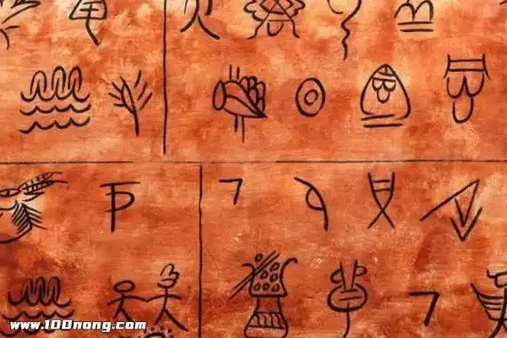 甲骨文字体的演变过程是什么