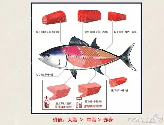 综合资讯 水产前沿网 | 网聚全球水产华人