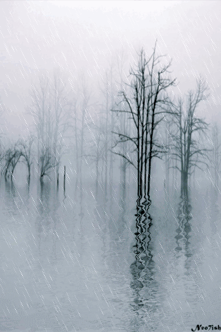 下雨 天气 阴雨 雨伞