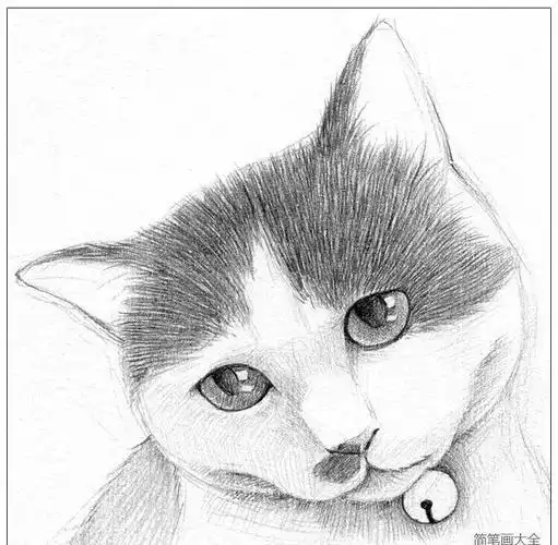 小猫素描简笔画可爱可爱